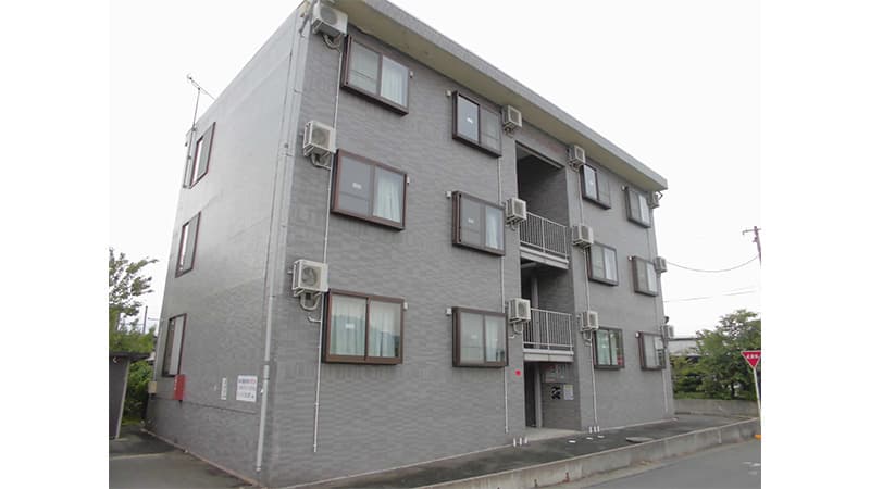 パインツリーNagai