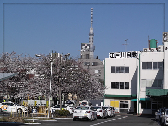 江戸川自動車教習所 東京都 通学免許のdo Live